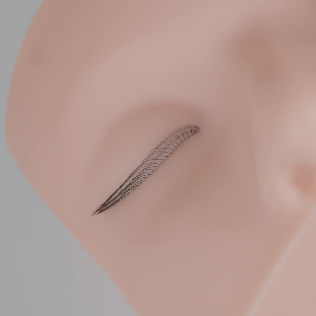 Cabeza de Maniquí para Prácticas de Extensiones de Pestañas